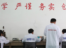 華路德技術(shù)部